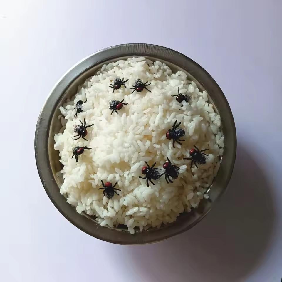 Artificial Fake Roaches Fly Novelty Cockroach trick Prop Scary Insects Realistic Plastic Bugs Funny Halloween Party Spoof Decor | Fugo Best