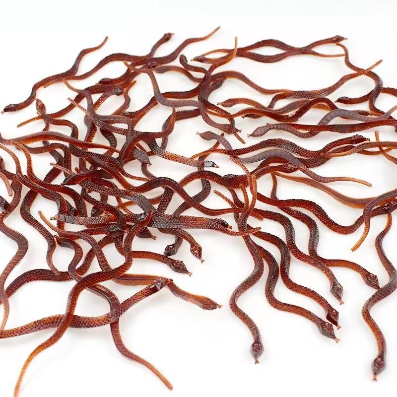 Artificial Fake Roaches Fly Novelty Cockroach trick Prop Scary Insects Realistic Plastic Bugs Funny Halloween Party Spoof Decor | Fugo Best