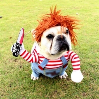 Funny Dog Clothes Dogs Cosplay Costume Halloween Comical Outfits Holding a Knife Set Pet Cat Dog Festival Party Clothing | Fugo Best